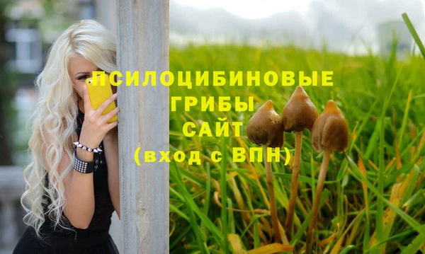 амф Балабаново